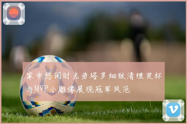 家中悠闲时光劳塔罗细致清理奖杯与MVP小雕像展现冠军风范